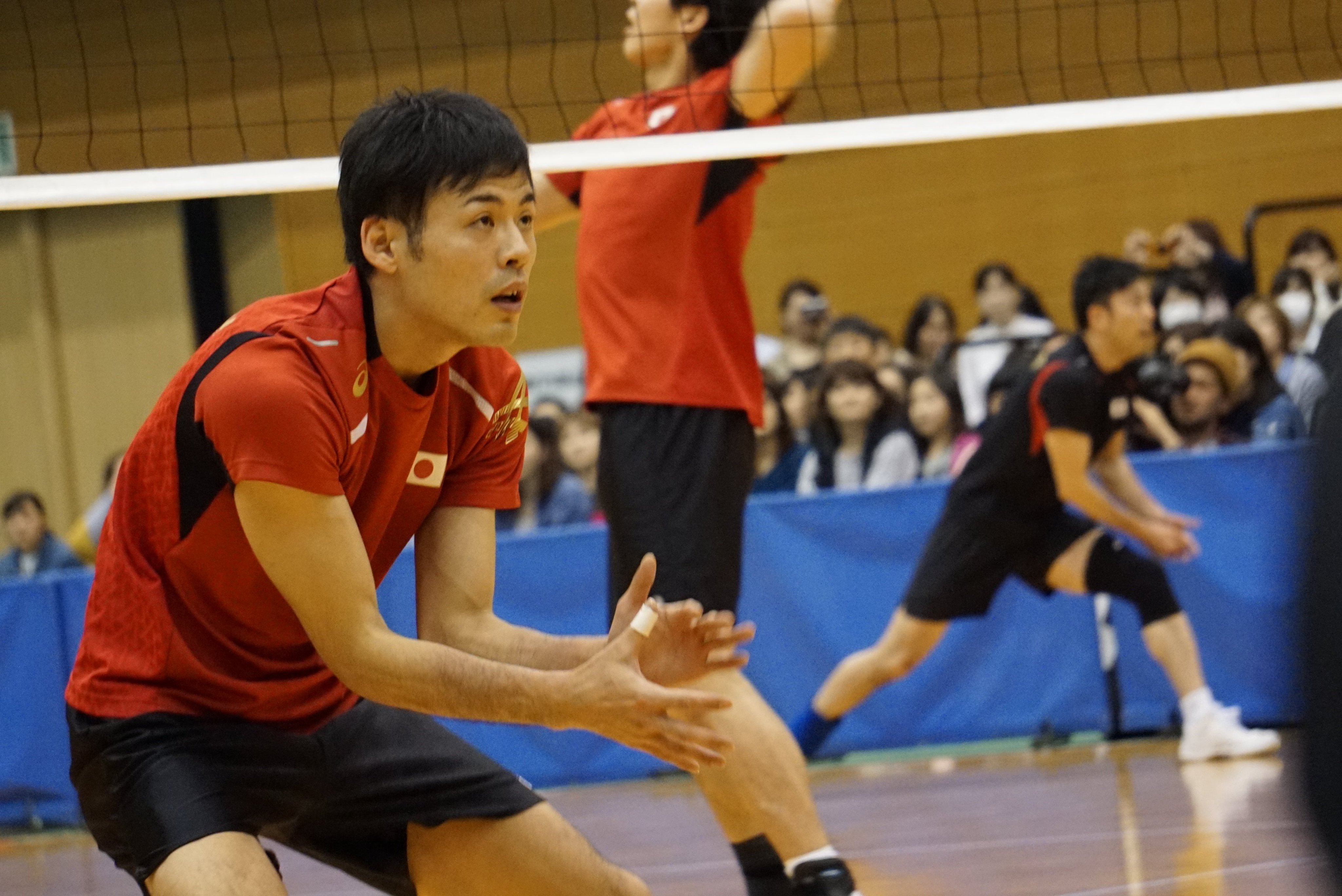 おちゃぼ バレー写真 Sur Twitter 対人レシーブ 永野さん 永野健 薩摩川内 全日本男子バレー T Co N6snkuiqpm Twitter