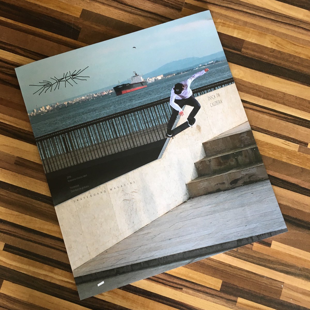 SURGE Skateboard Magazine, 19th issue by SURGE Skateboard Magazine