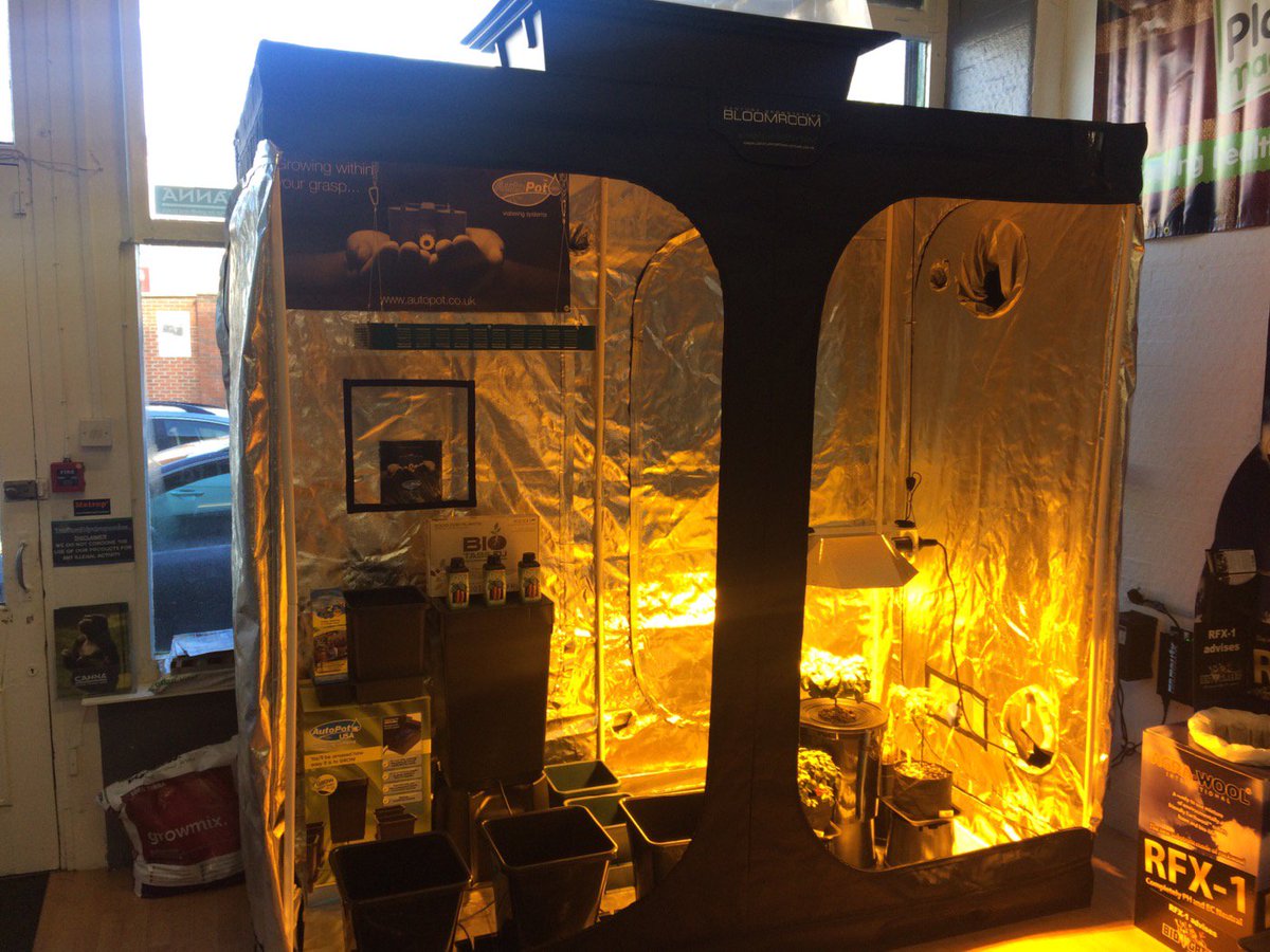 century_grow's tweet image. Summers around the corner a Bloomroom Tower weighing in at 2.35M tall will help keep your environment cool!!