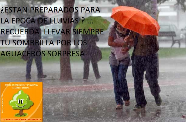 Fundación Ramón Roa (@fundaramonroa) on Twitter photo 