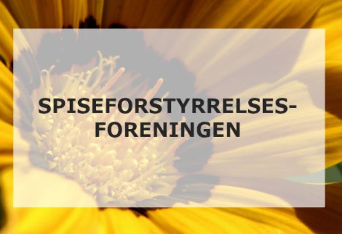 spisfo_'s tweet photo. Nytt navn. IKS har blitt til #Spiseforstyrrelsesforeningen. #spiseforstyrrelser #helse #psykiatri #selvhjelp #godnok https://t.co/IlRqkXCHQD