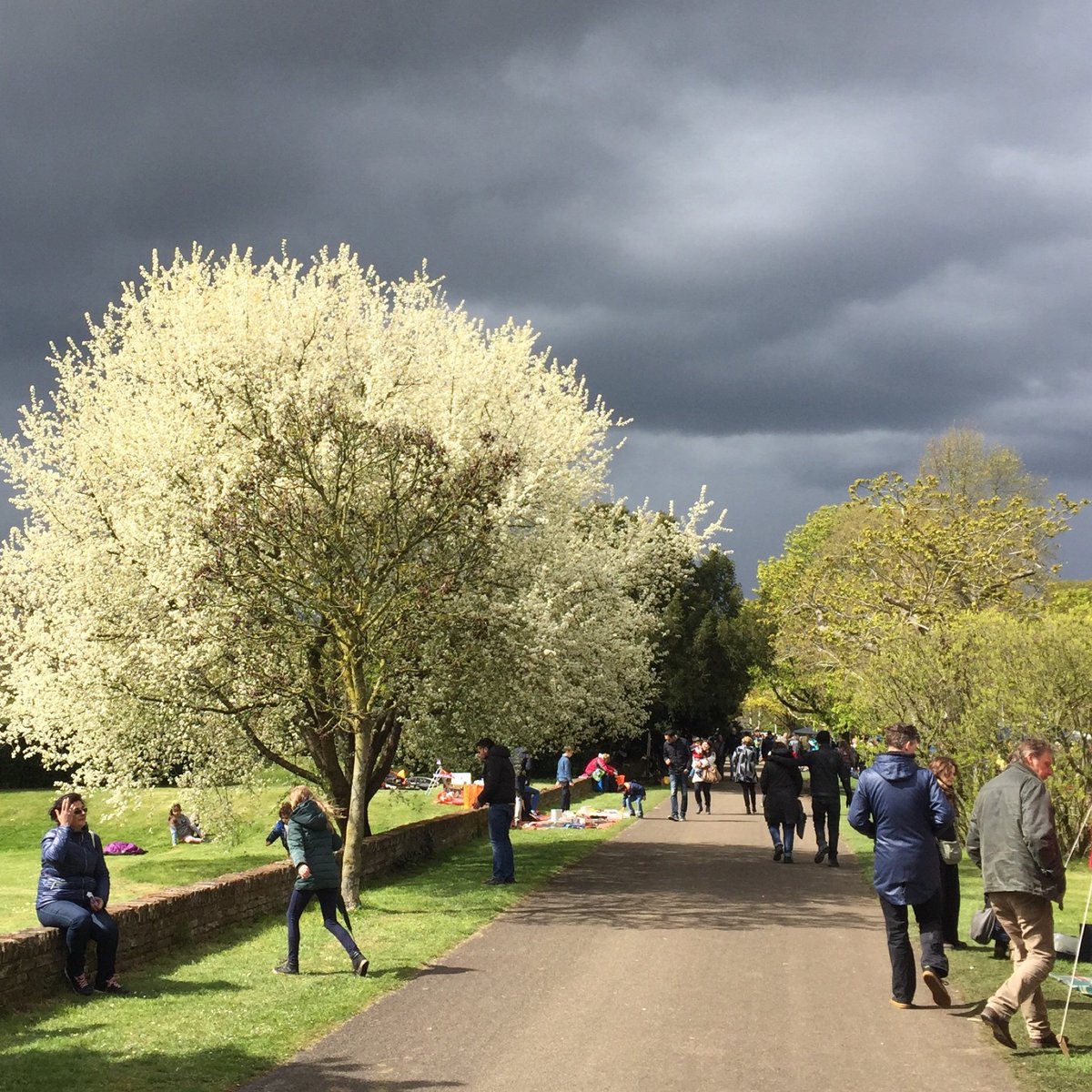 ASGoffertpark's tweet photo. Genieten van mooie luchten in het #goffertpark tijdens #vrijmarkt #koningsdag #goffert #nijmegen https://t.co/JTXpfI7ZO0