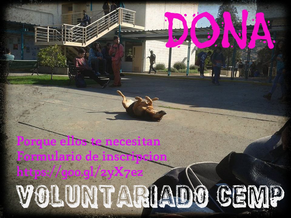 CEMPJmcUsm's tweet photo. Voluntariado CEMP #inscripcionesabiertas #PerrunosJmcUsm #Dona <3 https://t.co/I0ABkzSkzz