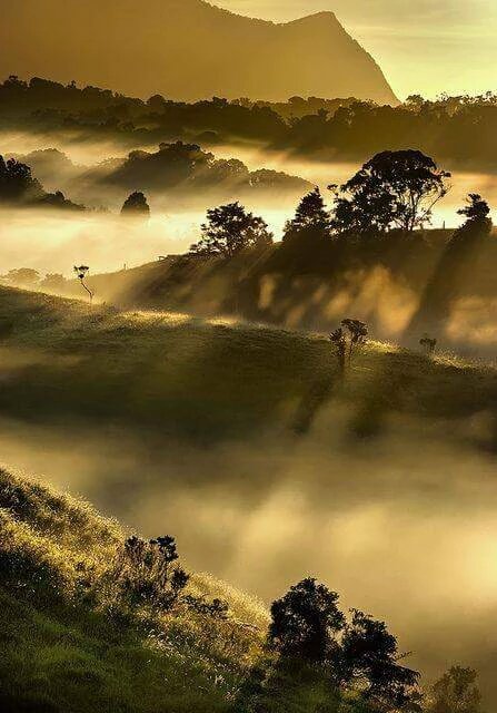 الذيب سرحان متابع