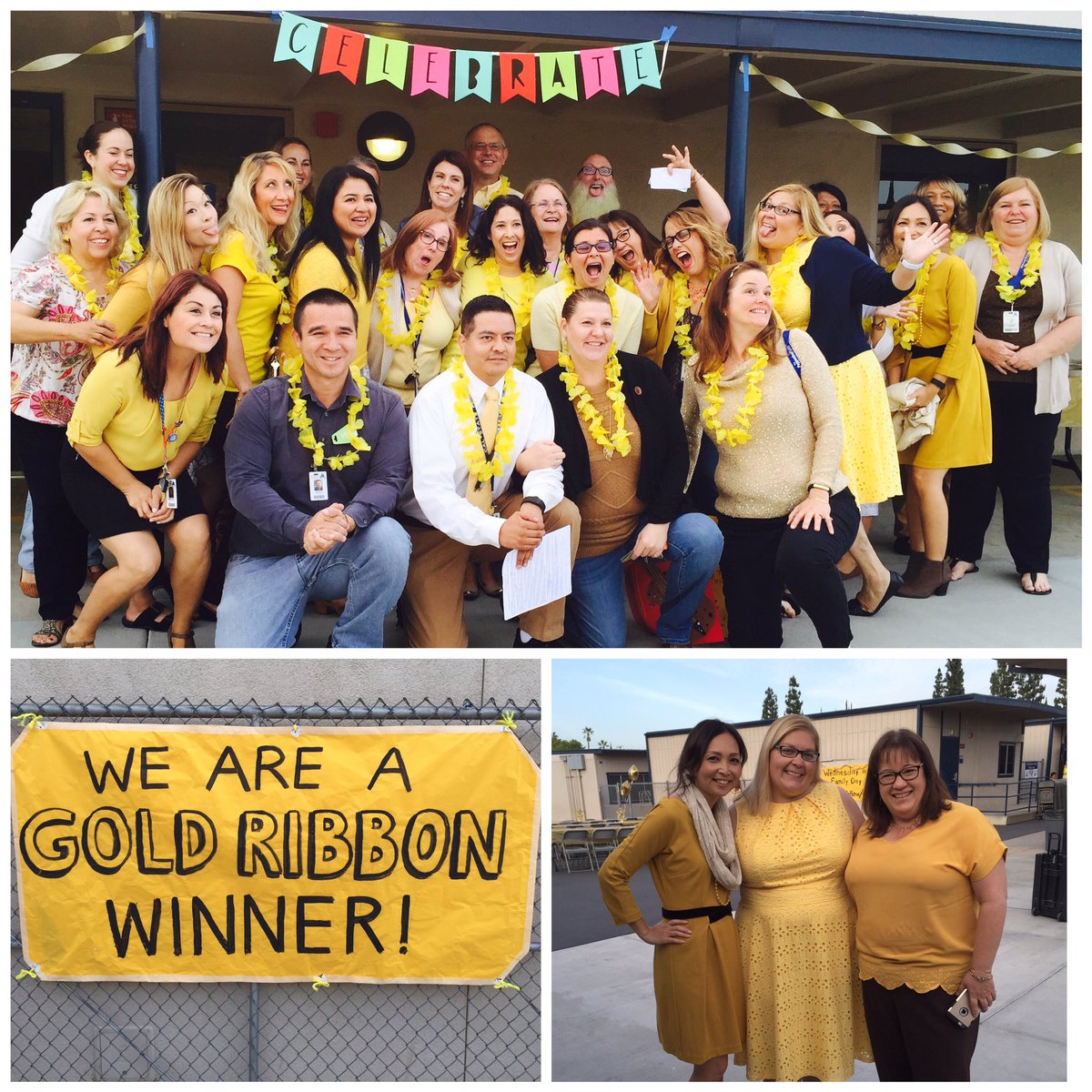 PLPantherFloFlo's tweet photo. So proud of Palm Lane! We became a Gold Ribbon School this year!! 💛🎉😊@PLPanthers https://t.co/x22AJXzxpW