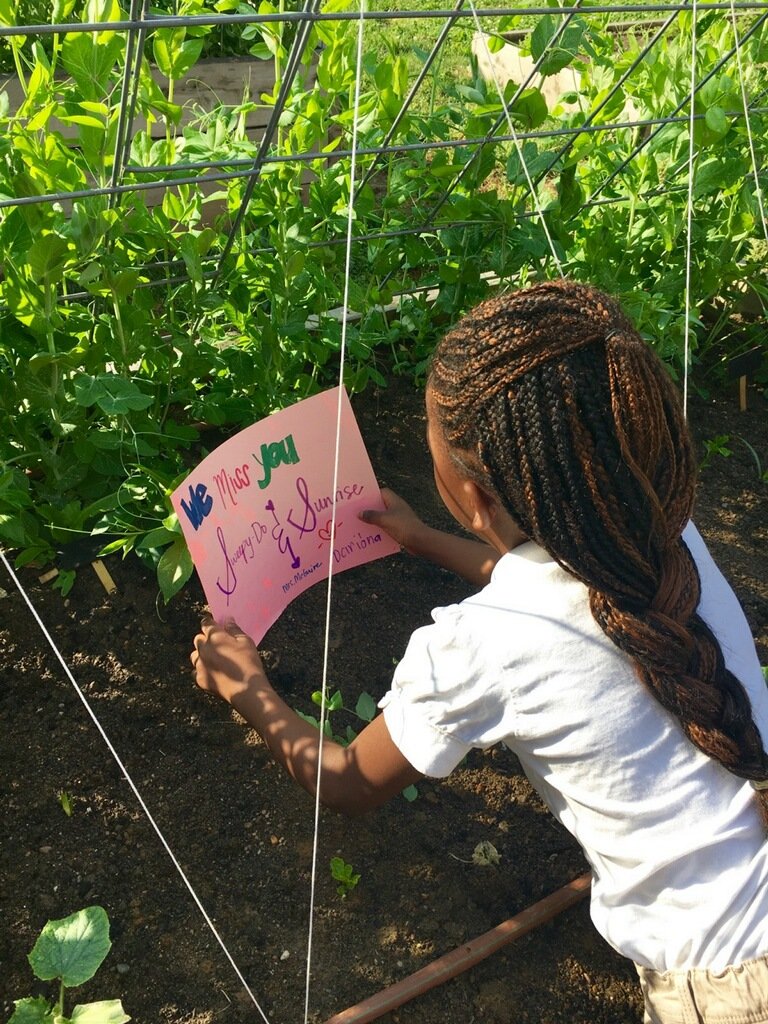 mcvicker_mh's tweet photo. Memorializing our lost frog friend and releasing him to fertilize our garden through decomposition @BVEOES @MNPS. https://t.co/y9MoAhVoqT