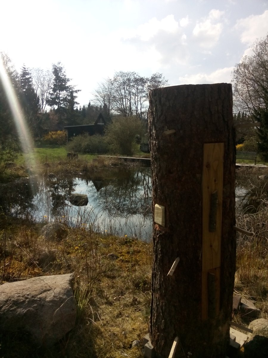 farmerfrau's tweet photo. #treehive built and now awaiting its first #swarm. #naturalbeekeepking #savethebees https://t.co/Wa4Yfmd4LH