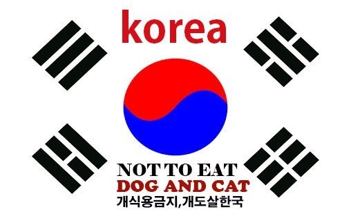 maelmale's tweet photo. @choeimalai this is Korea!!! #StopBokNal #DogNotMeat #Shame https://t.co/4OLDhjqIdD