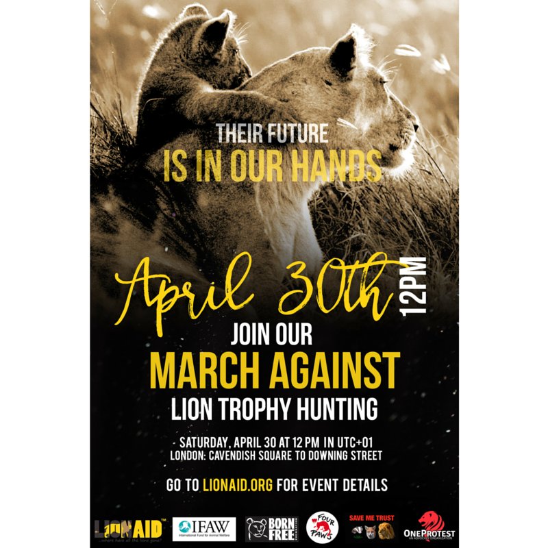 BornFreeFDN's tweet photo. This Saturday @ 12:00 - March Against Lion Trophy Hunting. Virginia McKenna OBE, will be speaking @ Downing Street 🐾 https://t.co/oK3qbTGdsR