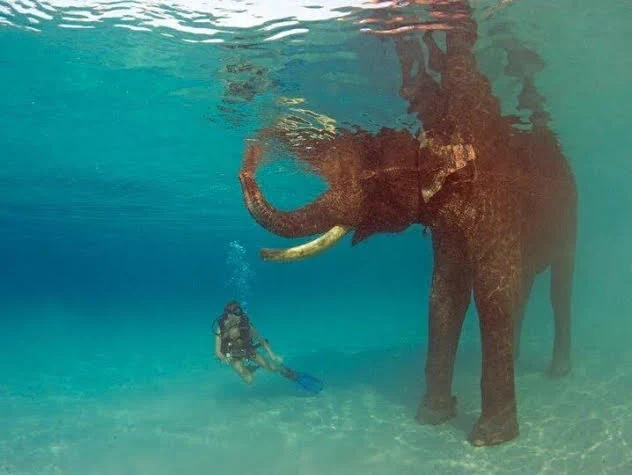 Image from Traveling (@TraveIings)