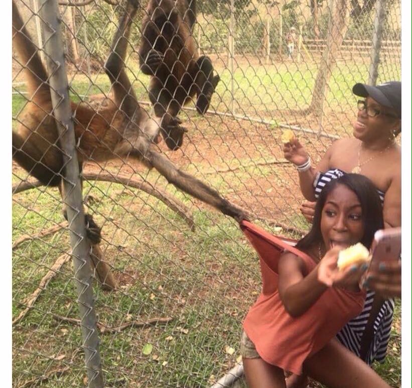 SanchoTrevon's tweet photo. Aye Aye!! Fine tings, Ma cousin wan talk tuh yuh, Come nah gurl! https://t.co/MeKPGSkAHg