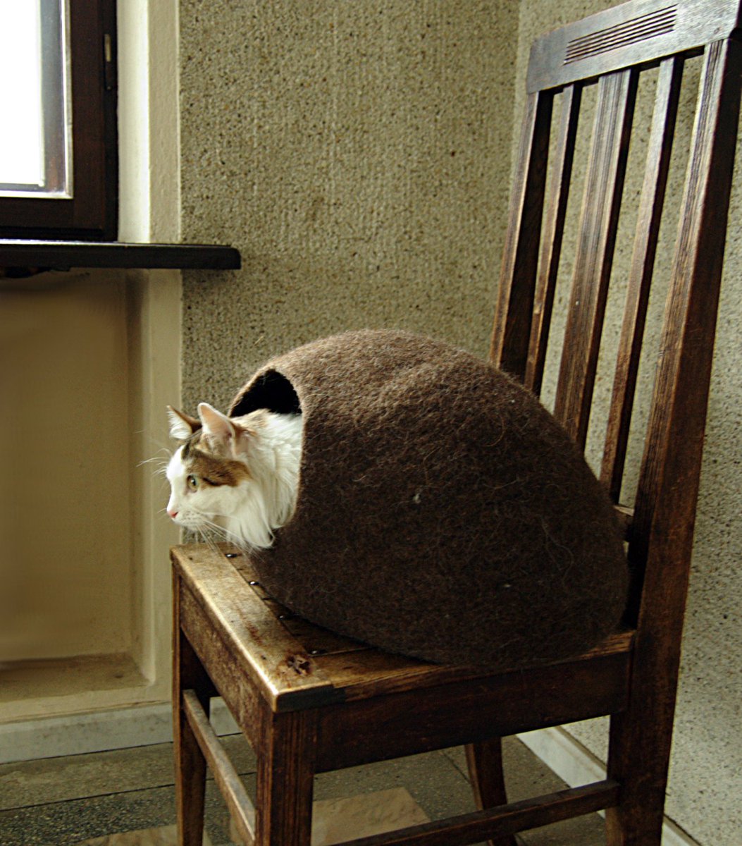 AistesJewelrBox's tweet photo. Felted cat cave brown from natural eco-friendly wool https://t.co/nbuuYn5wMq #cats #PetsBed https://t.co/NA5hlxhVrX
