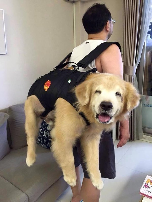 StandardsRaised's tweet photo. Just packing the essentials: https://t.co/AcCgz8Gzp8