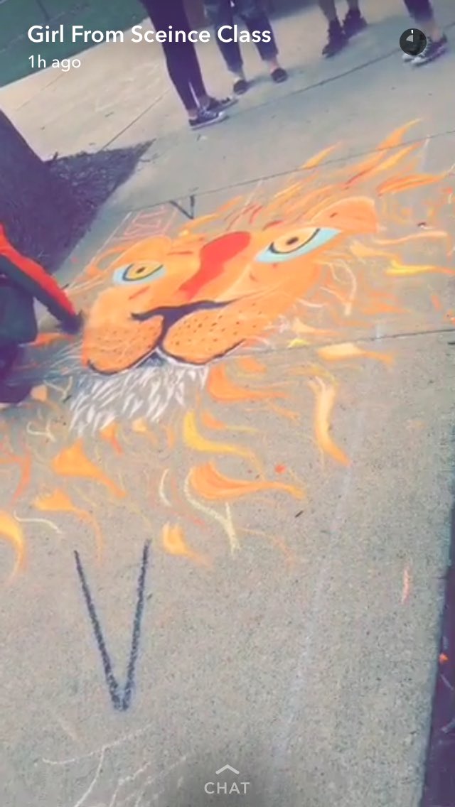 njsj__'s tweet photo. Wish I could've finished but I had fun #iupchalk #ProtectTheAnimals ' https://t.co/jATn8LF4WB
