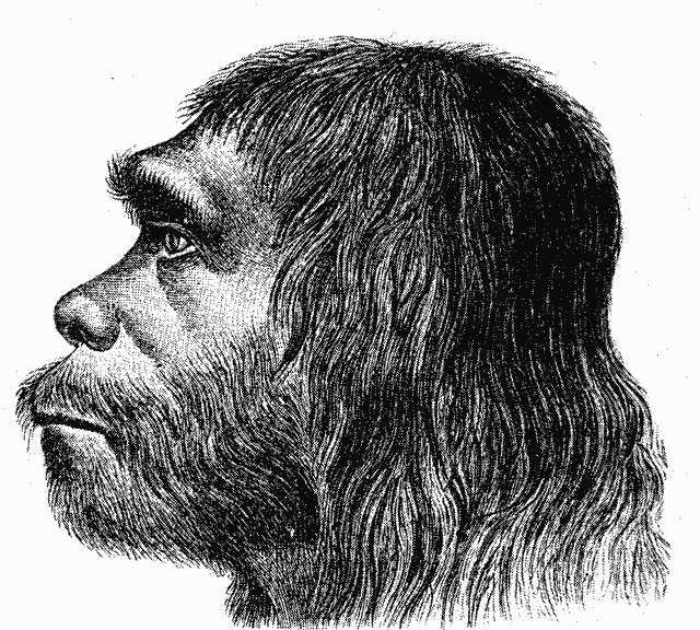 SrNeanderthal's tweet photo. Yesterday the students of art made a picture of a handsome neanderthal... I think that this is my face 😋😋😋 https://t.co/whlpw5KUku