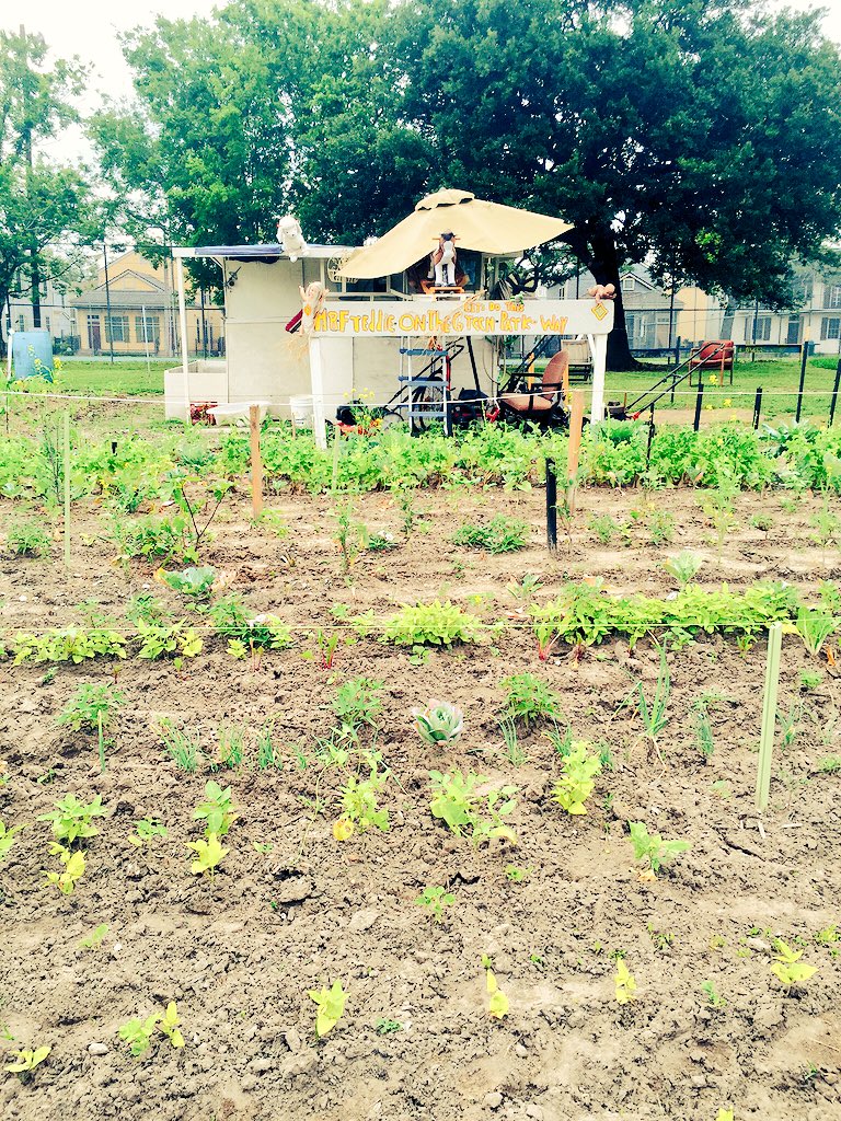 Community garden in #NewOrleans 💚
