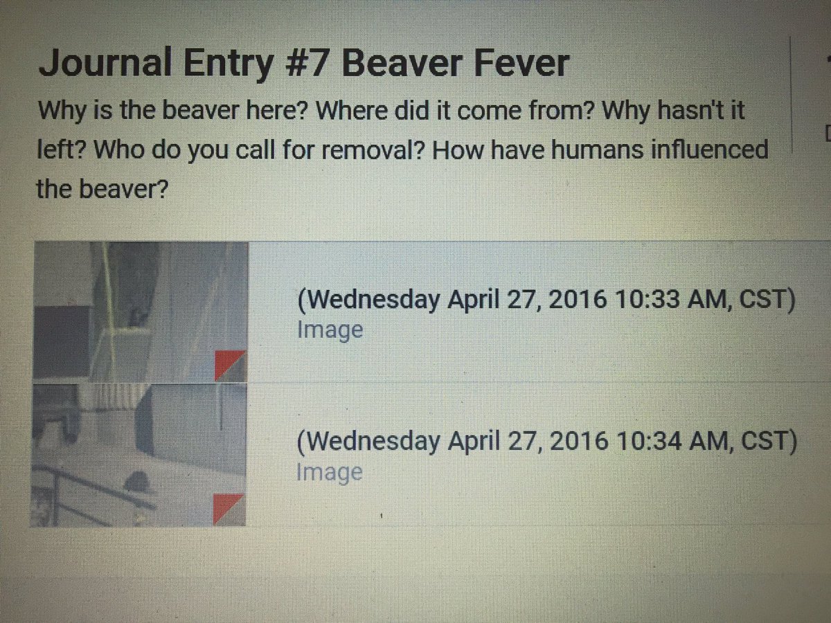 Tarapeet6's tweet image. @PACarlton When life gives you a beaver... Turn it into an environmental science 20 lesson!! #saderscience
