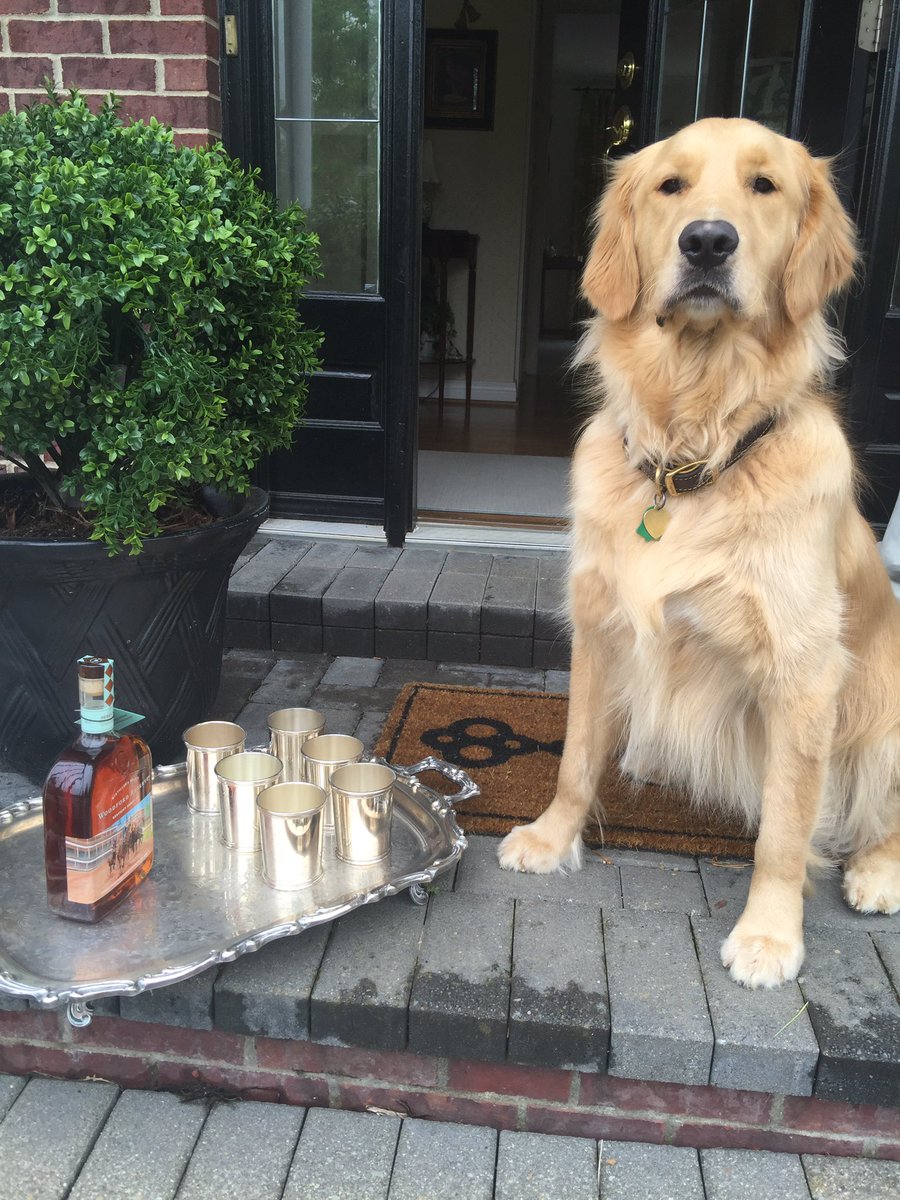 StraightShotInc's tweet photo. @WoodfordReserve My Woodford knows how to celebrate Derby! #woodfordreserve #mintjulep #wakefieldscearce https://t.co/Ju21RMcghk