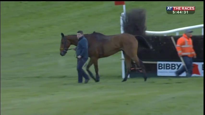 AtTheRaces's tweet photo. Road To Riches up after his heavy fall in the Punchestown Gold Cup. Great to see https://t.co/d6cvcJ73xV