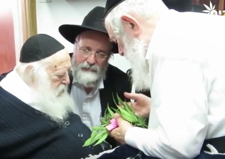 SeedSupreme's tweet photo. Senior Rabbi Chaim Kanievsky has given blessing for Cannabis to be used during passover, enjoy!

#seedsupreme https://t.co/7csYrpQLav