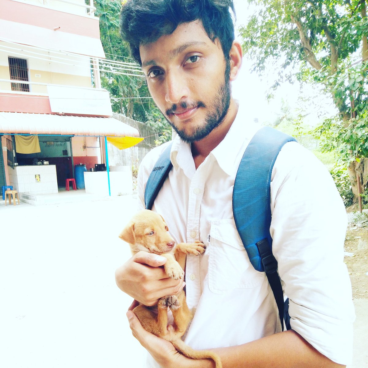 cyblast's tweet photo. So cute street puppy https://t.co/mMbvoT0JVE