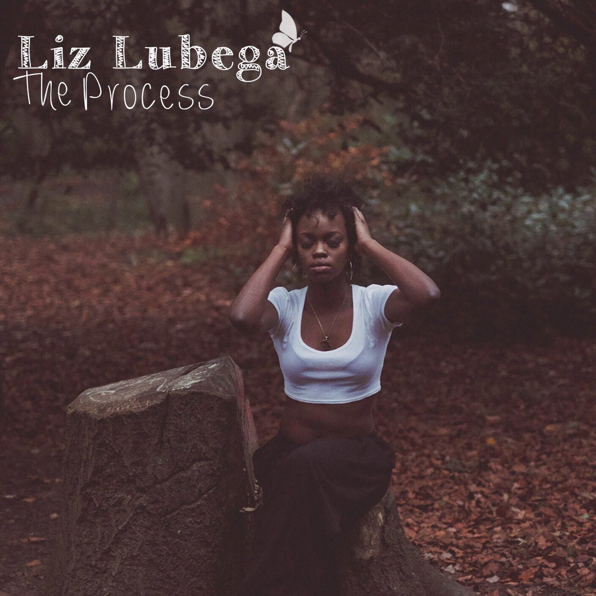 MOBOAwards's tweet photo. Premiere: @LizLubega's "The Process" EP is the perfect dose of soulful R&B https://t.co/rTkucQ4Bwx https://t.co/94M15en9P3