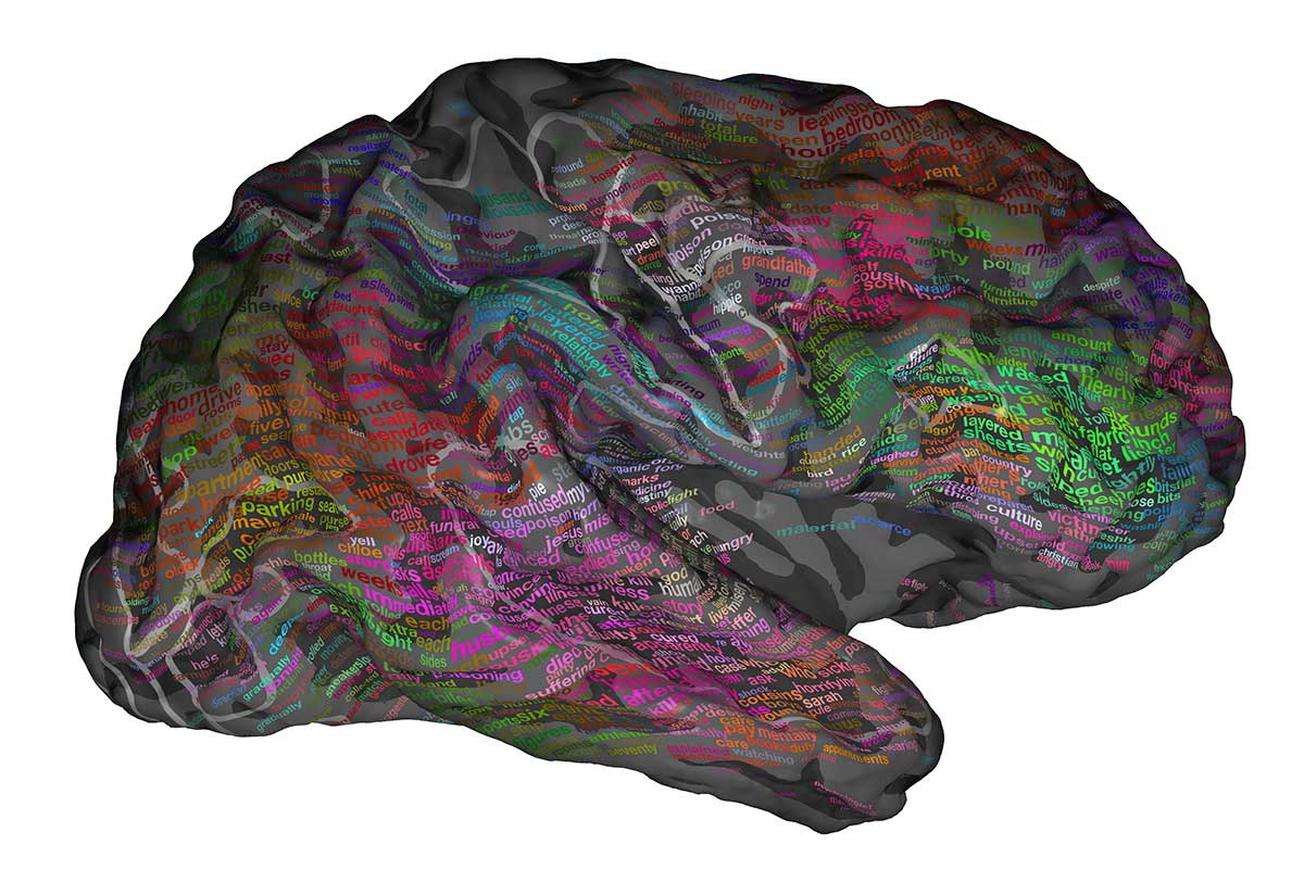 newscientist's tweet photo. Map of how the brain organises words could help us read minds: https://t.co/LgDPcZHr9w https://t.co/Q6v76VQTvf