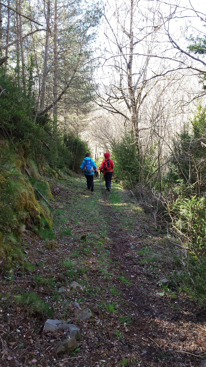 carlosguardia10's tweet photo. Recuperem #camins per restablir la seva funcionalitat: el trànsit de persones #VallsAguilar #Biscarbó #Junyent https://t.co/wvsFbZWzhU