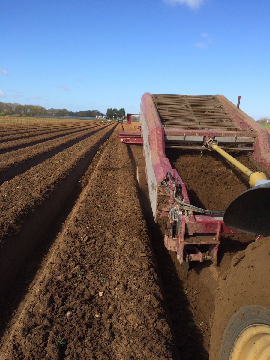 rwlservices's tweet image. #Scanstone demo 1740mm Star with 28mm rear web. #wentverywell. Thanks to Toby and young Hamish!