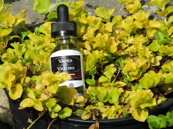 vapesandvigors's tweet photo. say hello to our newest flavor orange creme!! #fvape #vapefam #vaping #vapes #vapelife https://t.co/LviDdZCbWi