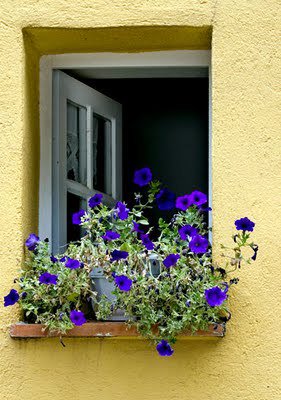 catarinalvim's tweet image. " (...) Abra a janela ...
É do azul, 
que os sonhos caem "

Bruno de Paula
Via: Bruno de Paula