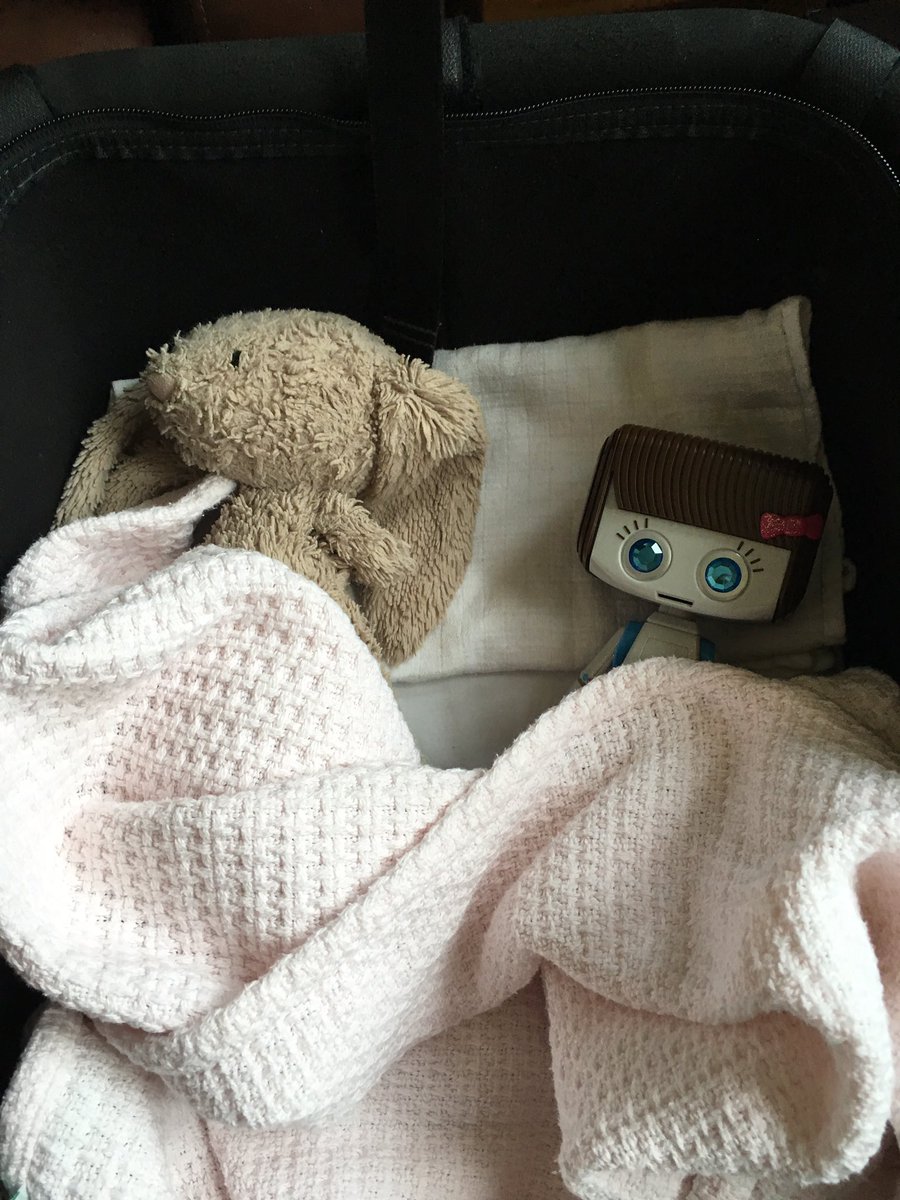 KateSanders1983's tweet photo. @BRIANtheRobot #missherbert my twin nieces love playing with you but wish you had a twin like they are. 💕💙 https://t.co/sFNU7JF81j
