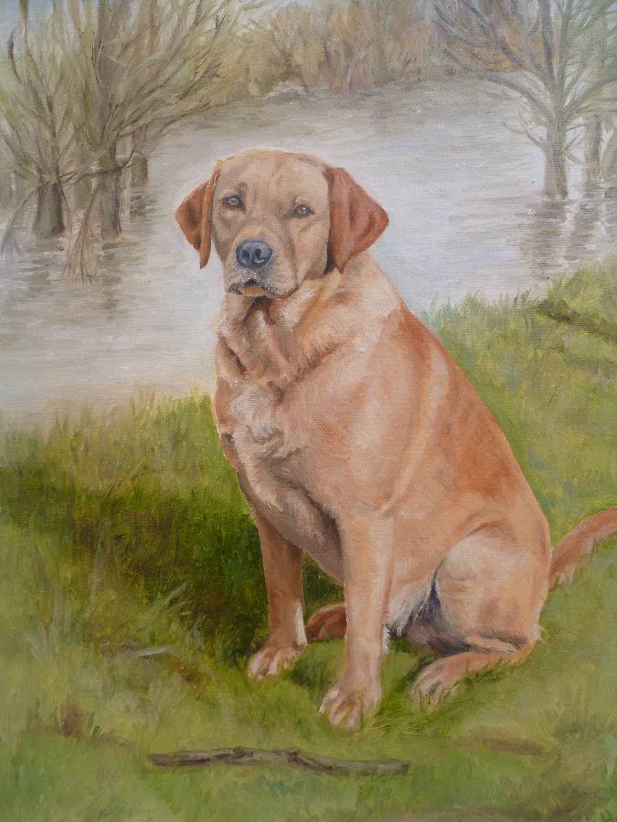 jamiswallow's tweet photo. The latest portrait - yes another Lab.  will start a Lab appreciation society This one is Tyke a real Yorkshire lad. https://t.co/F60IjbYBvg