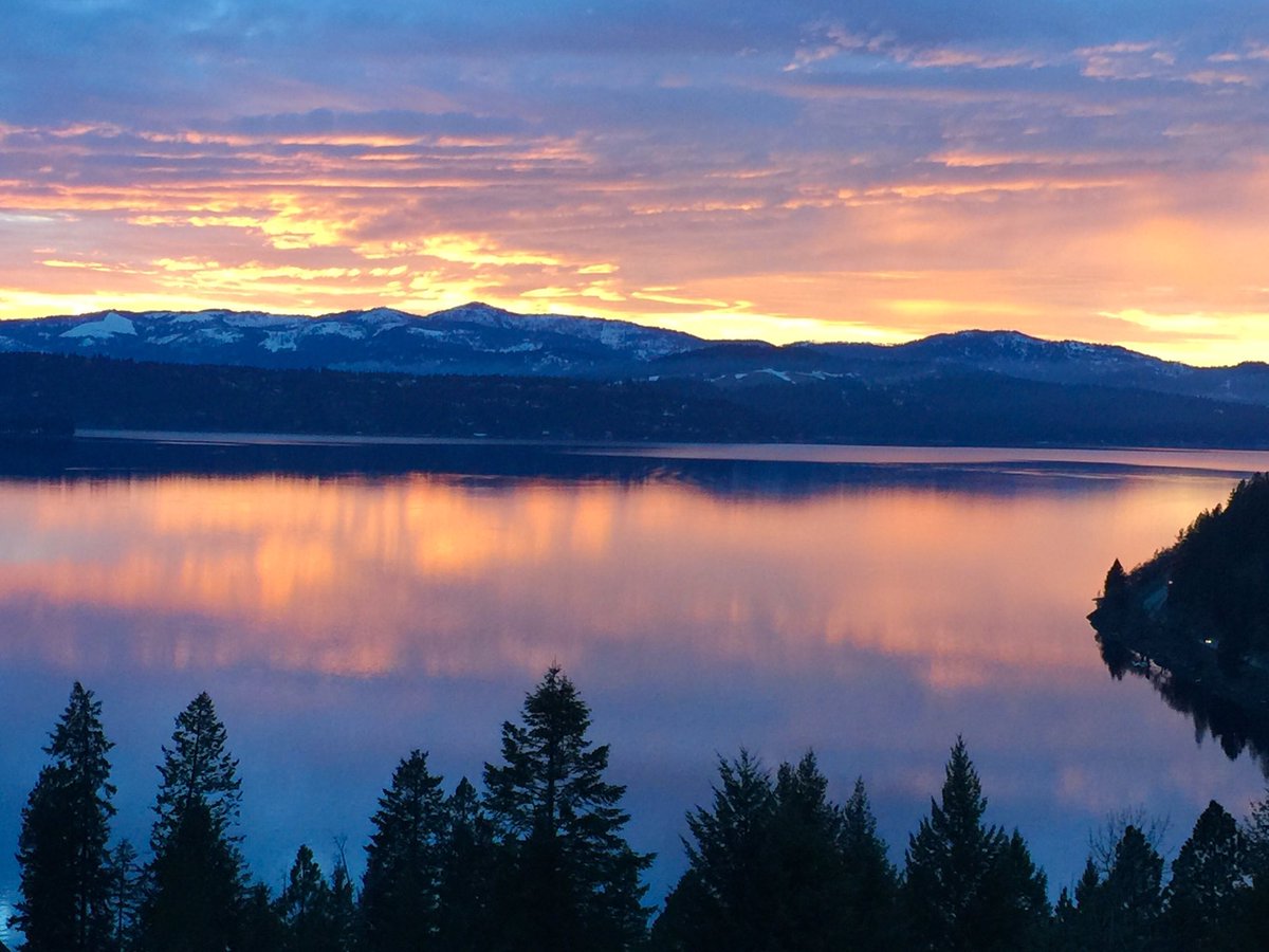 darcydoo26's tweet photo. Hey @joerogan come play the Spokane Comedy Club @spokanecc and then visit us in Coeur d'Alene, Idaho after! https://t.co/zVAhUCILfv
