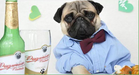 We need to stock this beer ...... xx