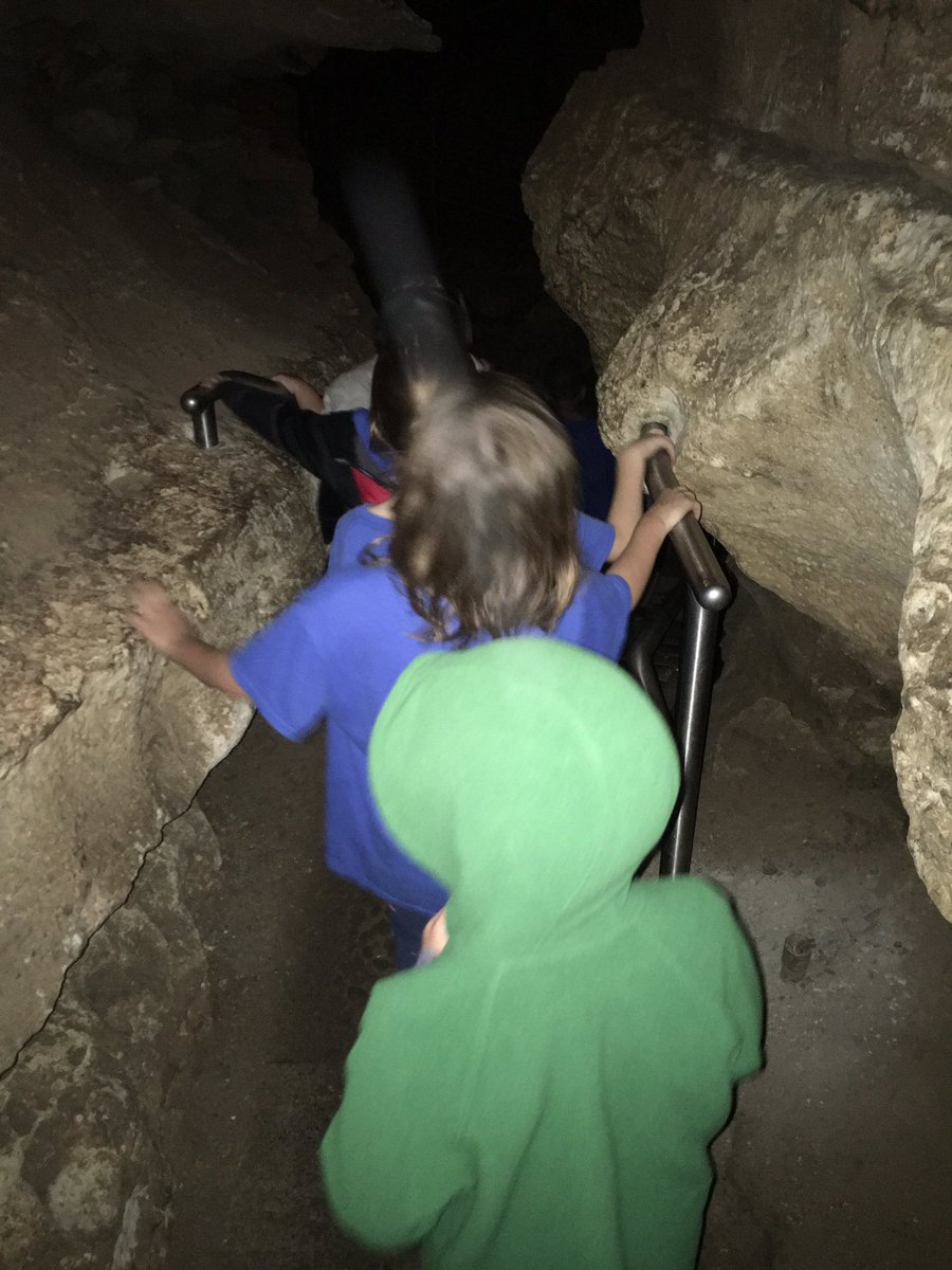 RoyalLearners's tweet photo. 2nd grade enjoyed our time at Mammoth Cave! @NatcherElem https://t.co/kIysEjNeGf