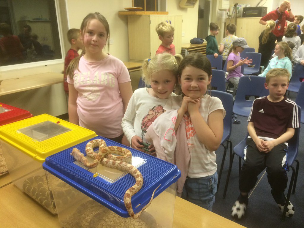 wtschool's tweet photo. Year 4 had lots of fun at Woodrow last week! https://t.co/GOv0UTW4dV