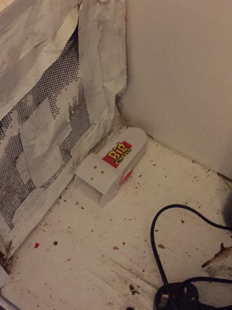 SingleNutri's tweet photo. £1,750 for 3 bed flat (shared, obviously) in Herne Hill &amp; left to deal with the mice ourselves #ventyourrent https://t.co/vAd2VqW9V8