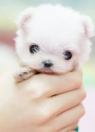 n_tupas's tweet photo. #안전놀이터
#안전놀이터

갓-달-팽-이

🐕 #안전한토토사이트추천 🐕
💒
🈯
📴
😈 https://t.co/swL4fUe6s3 😈
🐰
🎦
📡
🐄 깨톡 bet1004 🐄
🍸/E!4^2🌜 https://t.co/zSBY6kIijm