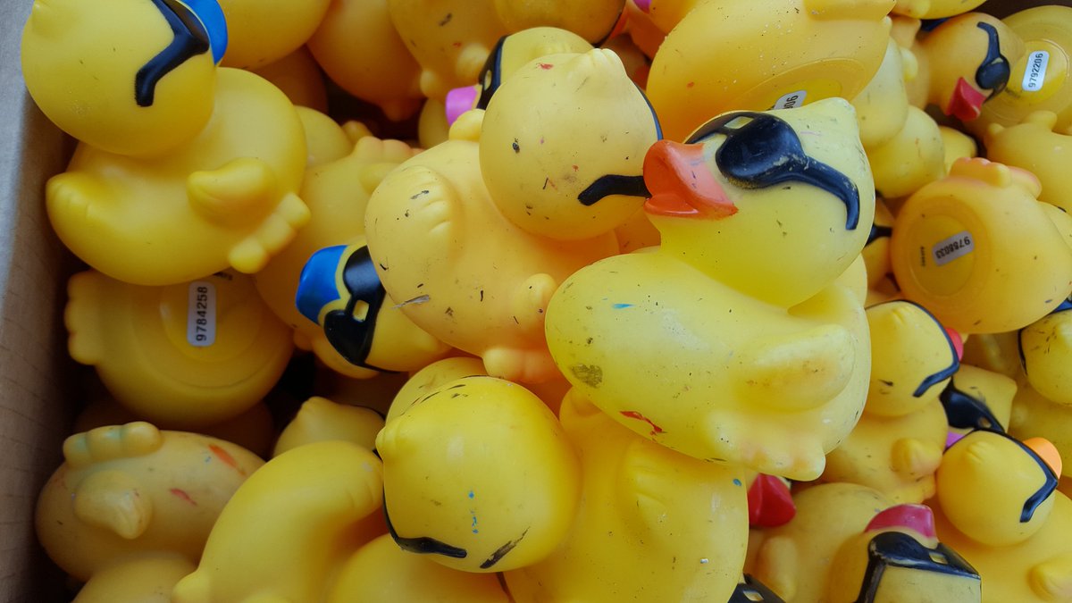 hw_clt's tweet photo. @kindermourn Tagging Ducks this morning to prepare for Hope Floats Duck Race on Sunday https://t.co/2pkQl2taYz