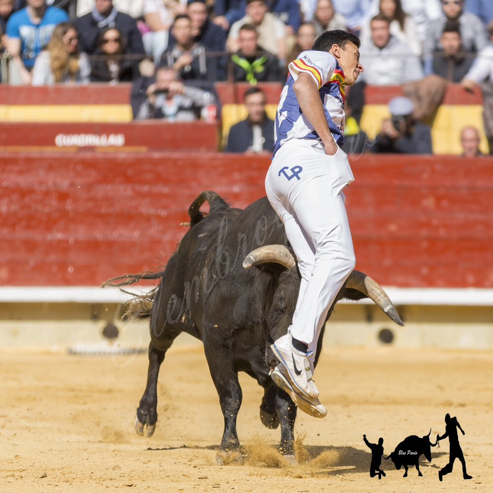 elembroque's tweet photo. @pakitotoros en los saltos también se puede buscar los límites #magdalena2016 #castellon
https://t.co/GjgpfSOa8o https://t.co/kGgEwcMSjF