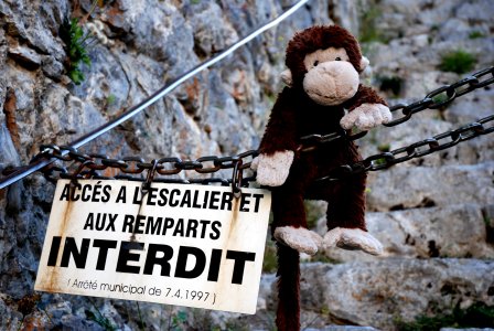 TheRealBrianSmi's tweet photo. Behaving himself? What can one say. #innocentmonkey @MalcolmAMonkey https://t.co/kpLqiSfZnr
