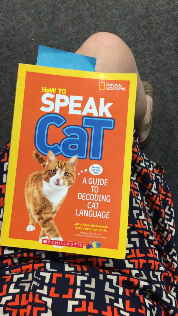 Pounce! A How To Speak Cat Training Guide by Gary Weitzman Pounce! A How To Speak Cat Training Guide by Gary Weitzman