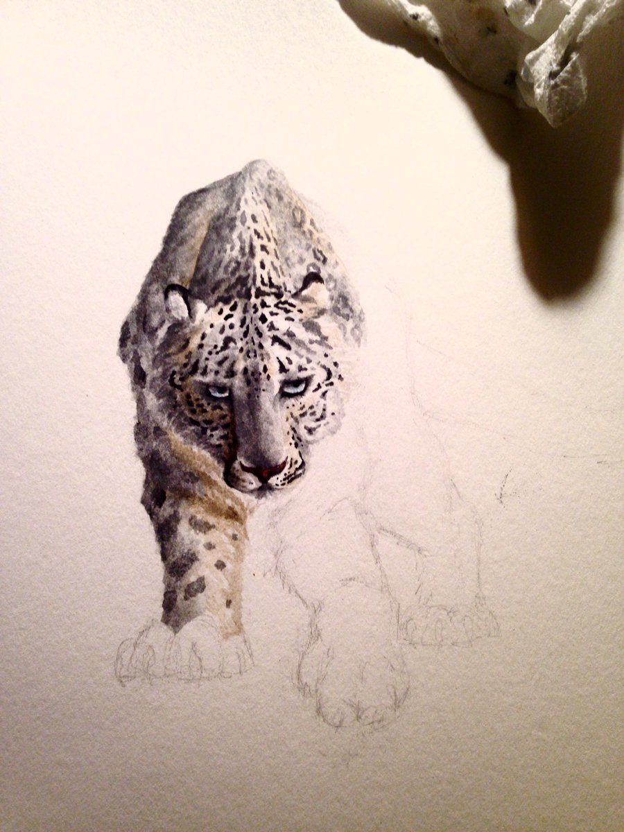KaraLMorgan's tweet photo. A work in progress that was later abandoned because watercolor is a fickle mistress... #engineerbyday #artistbynight https://t.co/I9q4vropI4