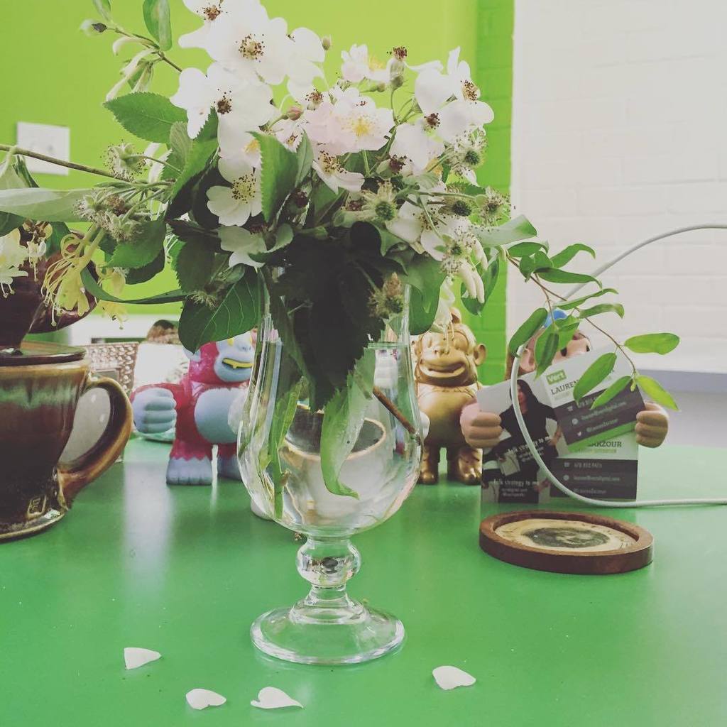 laurenzarzour's tweet image. Desk #stilllife #nature #tinybugs