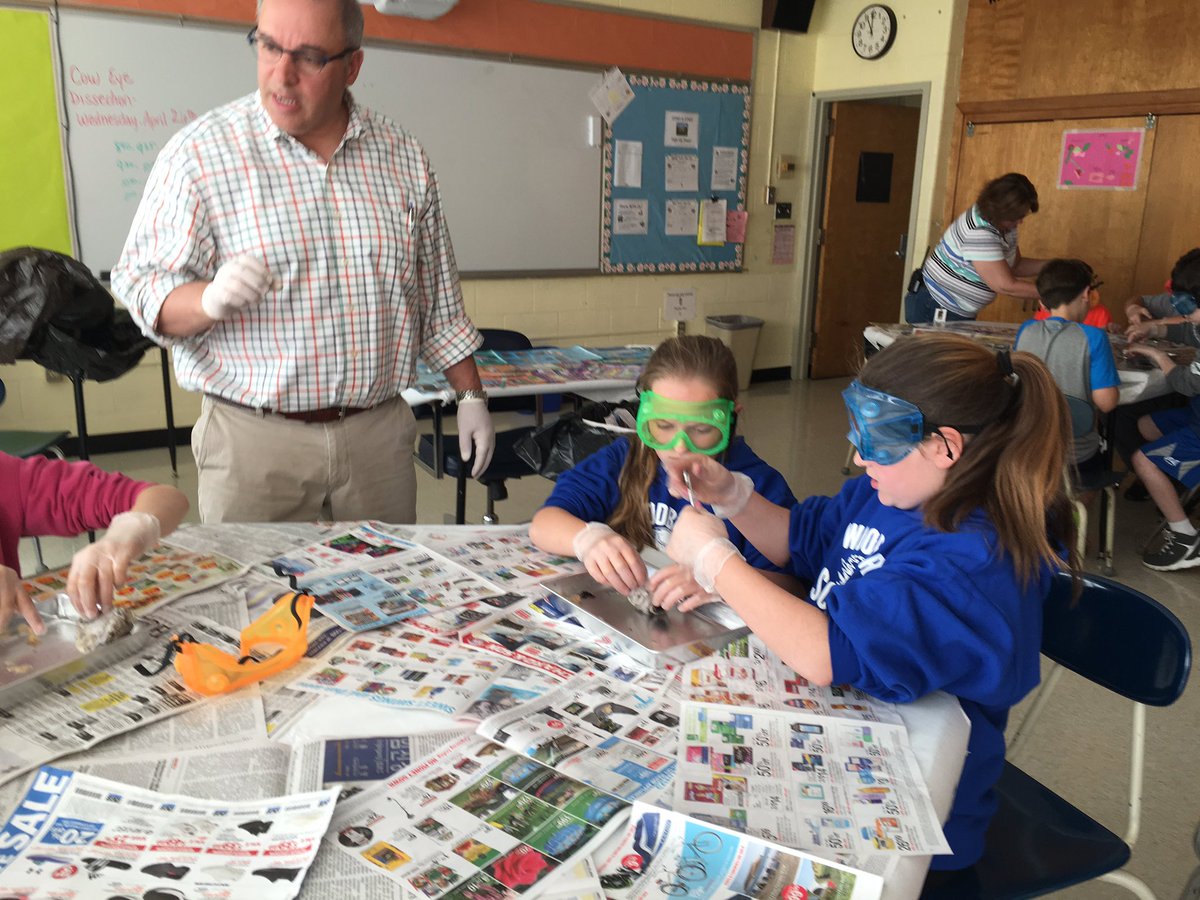 BergeronR14's tweet photo. Fifth grade surgeons at MES explore the structure and functions of the eye. #ctreg14 https://t.co/mexll11YlQ