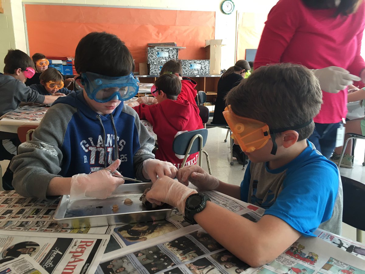BergeronR14's tweet photo. Fifth grade surgeons at MES explore the structure and functions of the eye. #ctreg14 https://t.co/mexll11YlQ