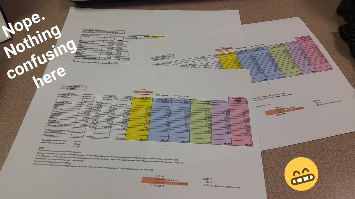 Anna_M_Roman's tweet image. Reviewing the potential funding possibilities for the proposed animal shelter. Get excited #spreadsheet fans #acpol