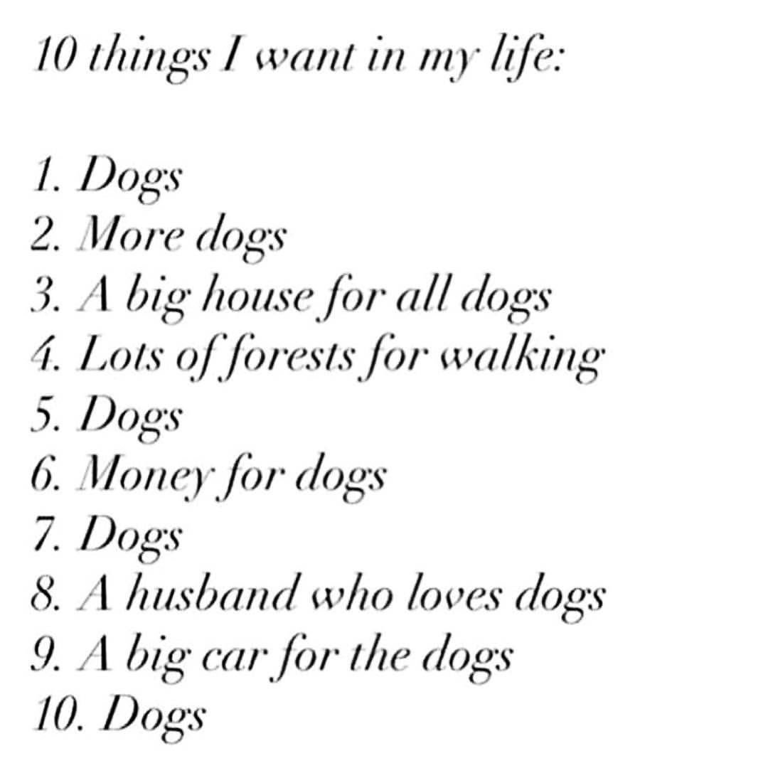 rescueridge's tweet photo. #exactly #dogs #andmoredogs #rescueridge #adopt https://t.co/EUgF4lv6lQ