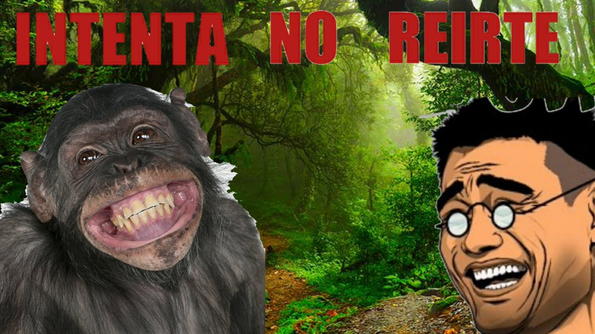 youtu.be/wOH0eav4gHc